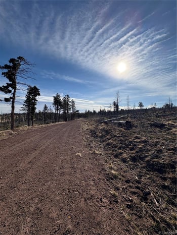 000 Riccardo Ln, Fort Garland, CO 81133