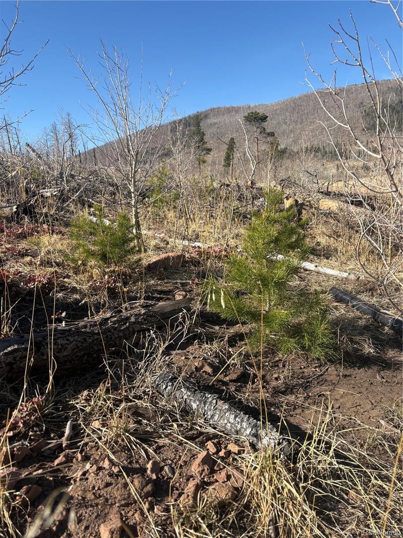 000 Riccardo Ln Lot 2145, Fort Garland, CO 81133