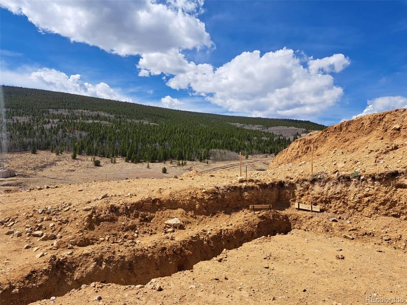 2515 High Creek Rd, Fairplay, CO 80440