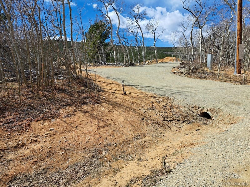 2515 High Creek Rd, Fairplay, CO 80440