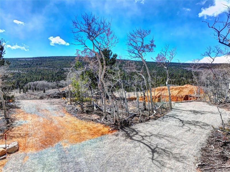 2515 High Creek Rd, Fairplay, CO 80440