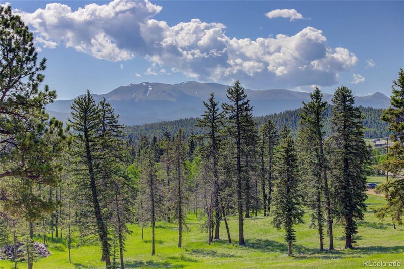 4797 County Road 42, Divide, CO 80814