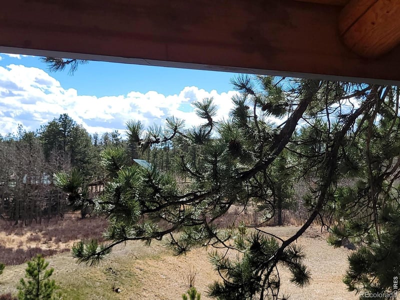 2225 County Road 73c, Red Feather Lakes, CO 80545