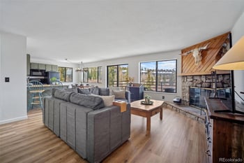 9876 Ryan Gulch Rd #206, Silverthorne, CO 80498