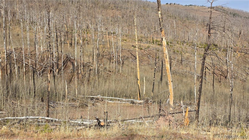 Lot 880 Slaoui Pl, Fort Garland, CO 81133