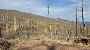 Lot 880 Slaoui Pl, Fort Garland, CO 81133