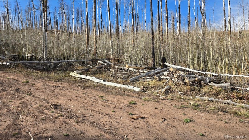 Lot 880 Slaoui Pl, Fort Garland, CO 81133