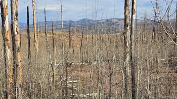 Lot 880 Slaoui Pl, Fort Garland, CO 81133