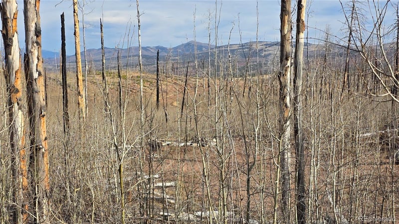 Lot 880 Slaoui Pl, Fort Garland, CO 81133