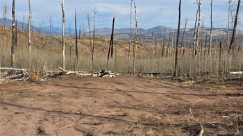 Lot 880 Slaoui Pl, Fort Garland, CO 81133