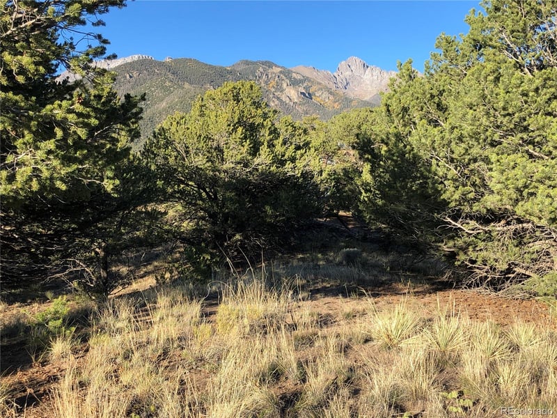 4480 Ridgecrest Way, Crestone, CO 81131