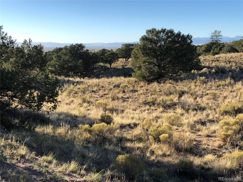 4480 Ridgecrest Way, Crestone, CO 81131