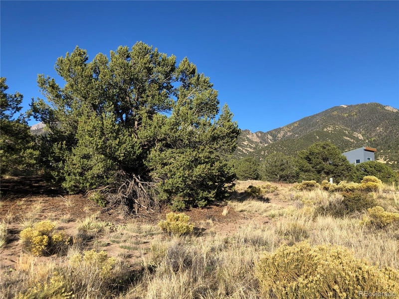 4480 Ridgecrest Way, Crestone, CO 81131