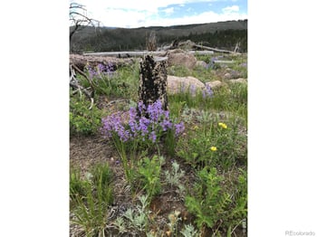 3434 Davis Ranch Rd, Bellvue, CO 80512