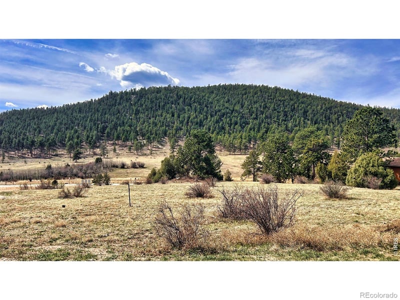 342 Meadowview Dr, Estes Park, CO 80517