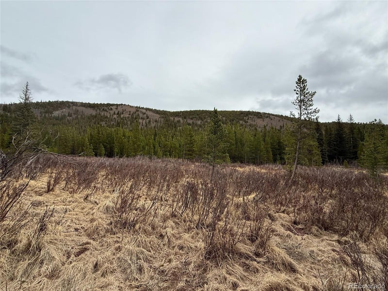 111 Silver Creek Rd, Idaho Springs, CO 80452