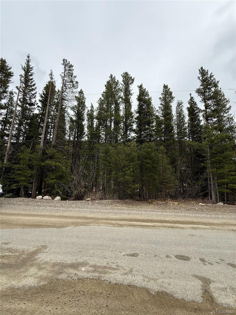 111 Silver Creek Rd, Idaho Springs, CO 80452