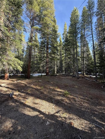 611 Silver Creek Rd, Idaho Springs, CO 80452