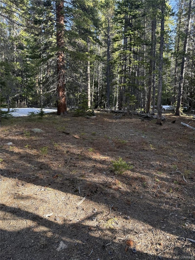 611 Silver Creek Rd, Idaho Springs, CO 80452