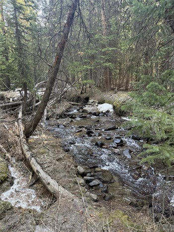 611 Silver Creek Rd, Idaho Springs, CO 80452