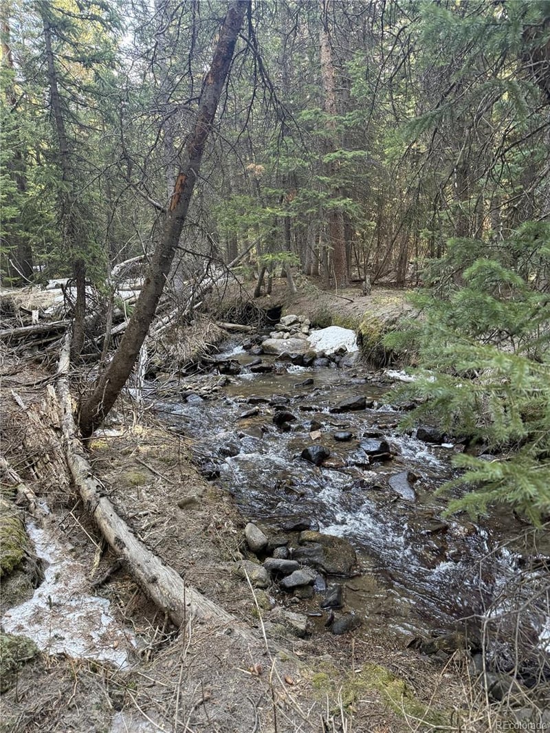 611 Silver Creek Rd, Idaho Springs, CO 80452