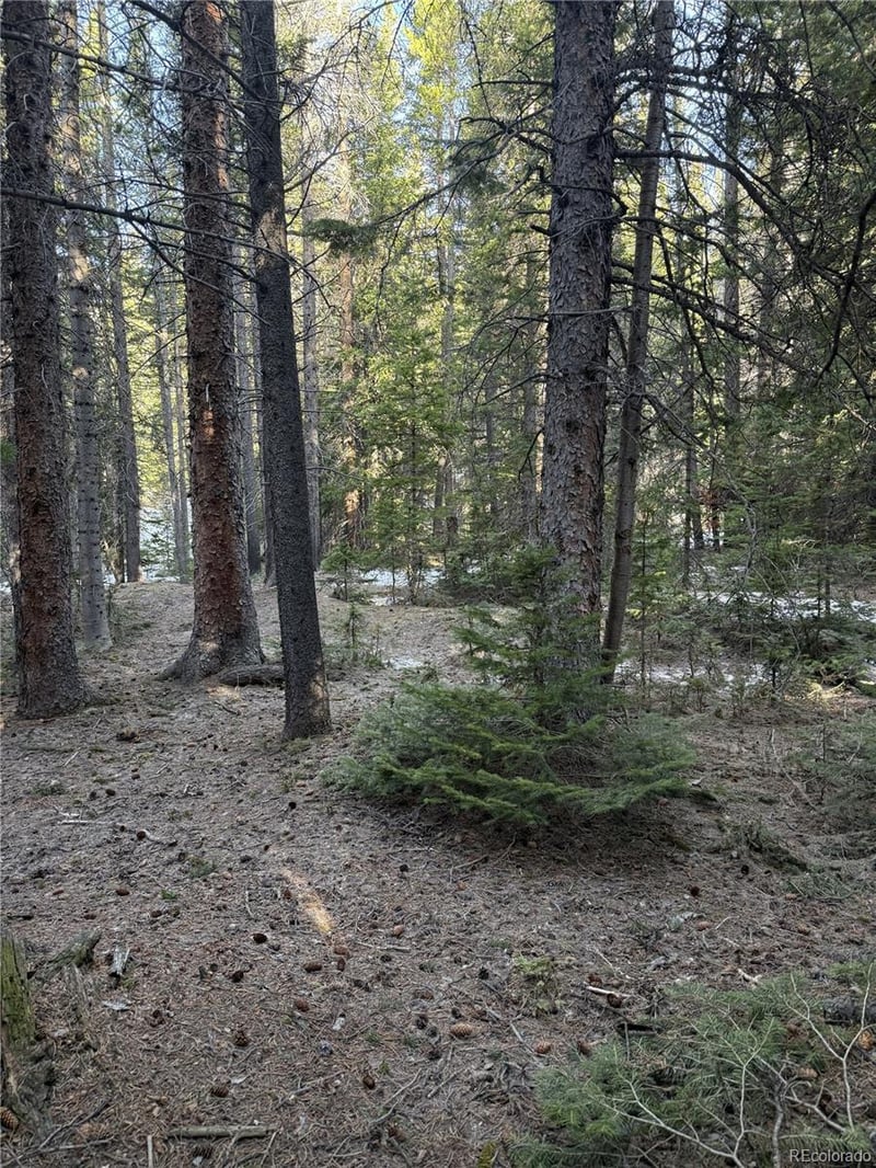 611 Silver Creek Rd, Idaho Springs, CO 80452