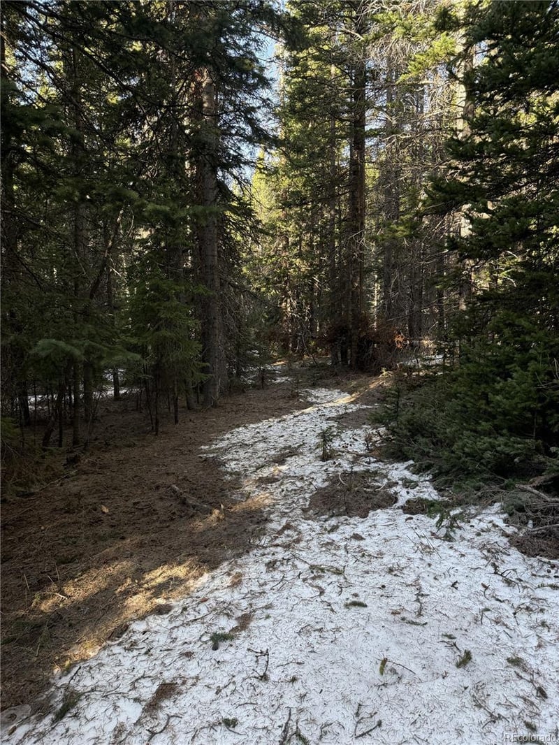 611 Silver Creek Rd, Idaho Springs, CO 80452