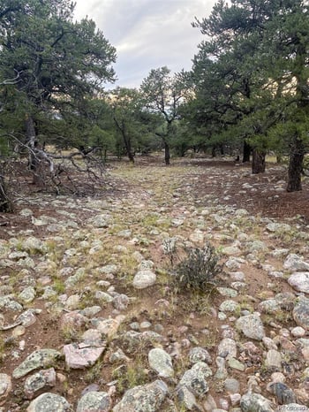 3872 Jubilant Ter, Crestone, CO 81131