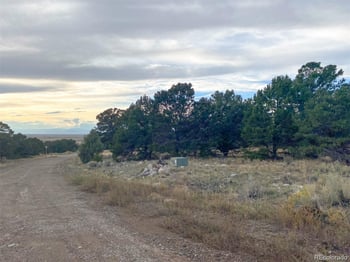 3872 Jubilant Ter, Crestone, CO 81131