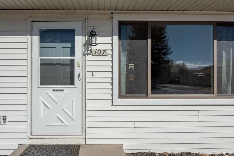 107 Dartmouth Dr, Buena Vista, CO 81211