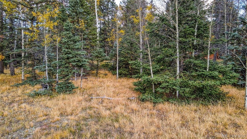 166 Denwood Dr, Florissant, CO 80816