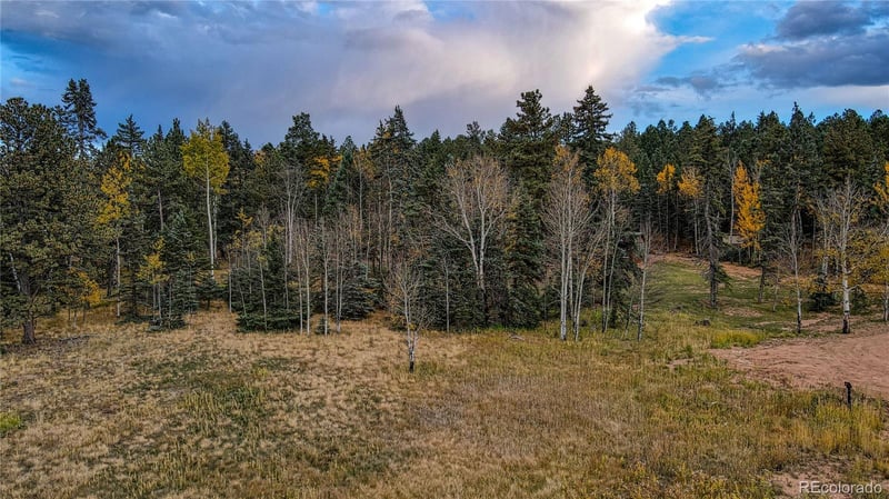 166 Denwood Dr, Florissant, CO 80816