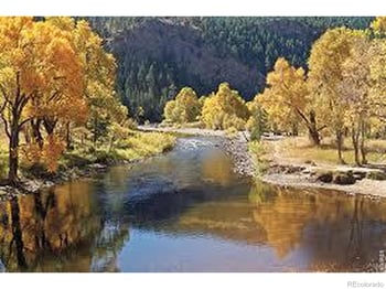 1002 Schlagel St #6, Fort Collins, CO 80524