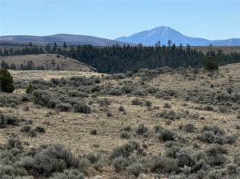 Lot 117 Lautenburg Dr, Fort Garland, CO 81133