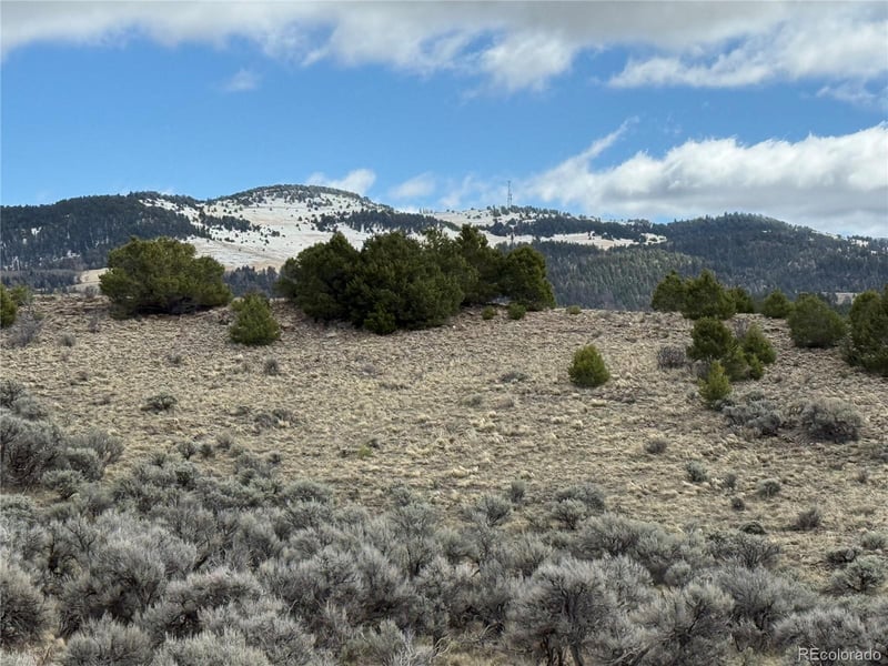 Lot 117 Lautenburg Dr, Fort Garland, CO 81133