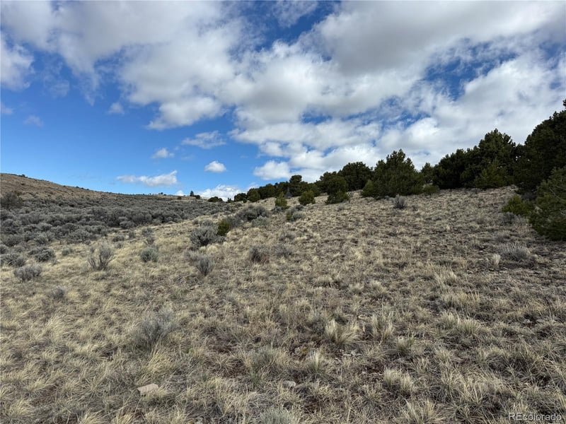 Lot 117 Lautenburg Dr, Fort Garland, CO 81133