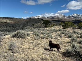 Lot 117 Lautenburg Dr, Fort Garland, CO 81133