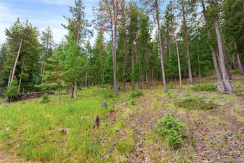6773 Snowshoe Trl, Evergreen, CO 80439