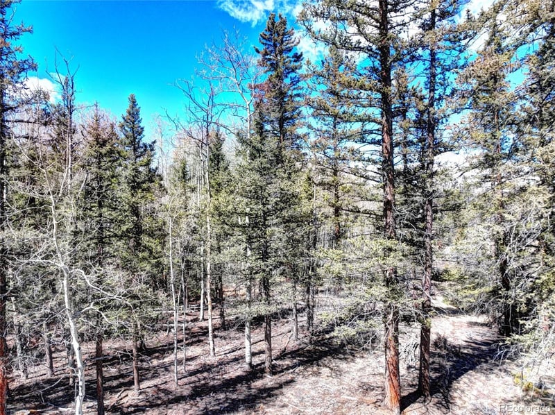 1059 Piaute Way, Jefferson, CO 80456