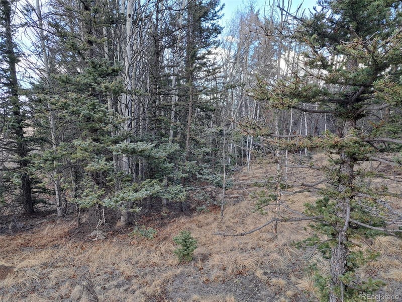 1059 Piaute Way, Jefferson, CO 80456