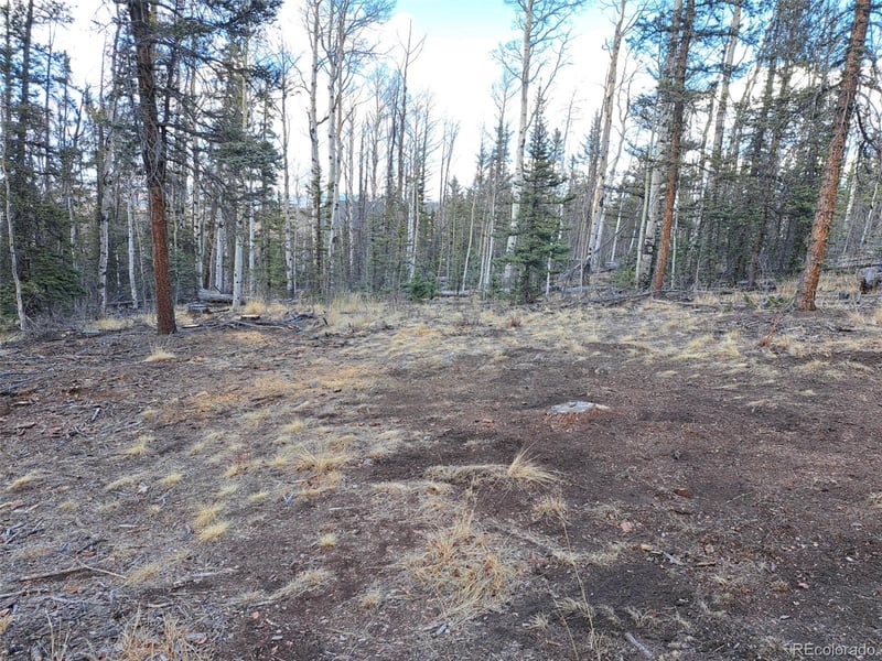 1059 Piaute Way, Jefferson, CO 80456