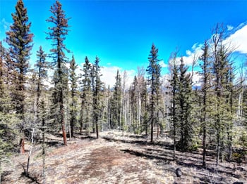 1059 Piaute Way, Jefferson, CO 80456