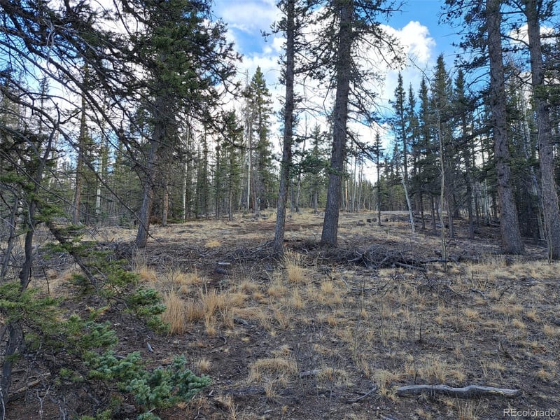 1059 Piaute Way, Jefferson, CO 80456