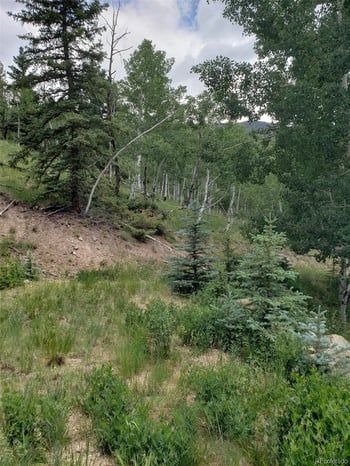 10th St, Jasper, CO 81144