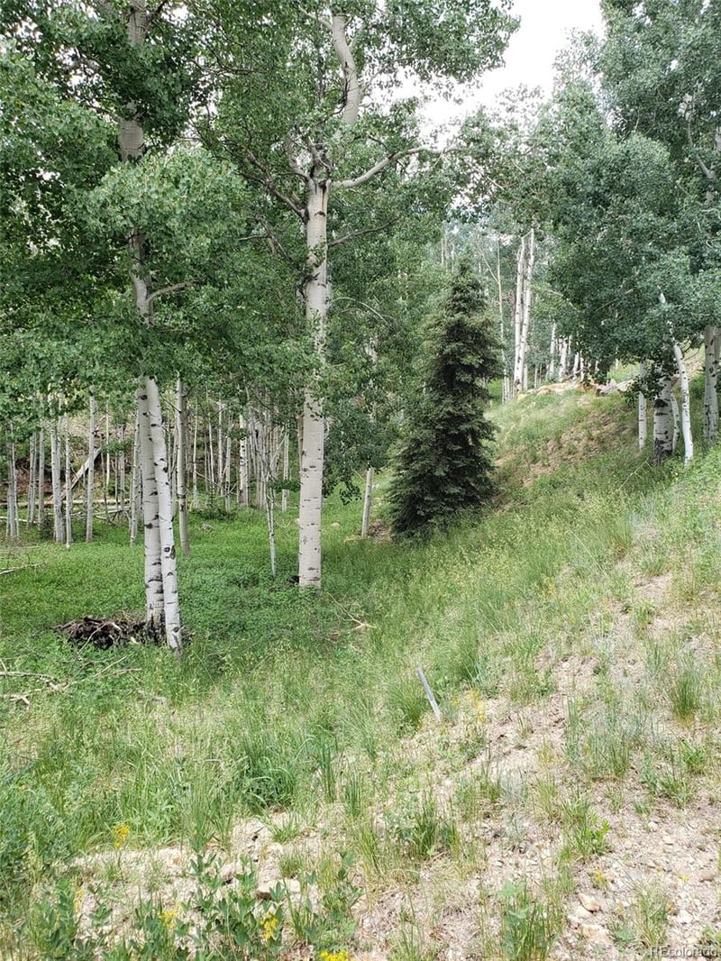 10th St, Jasper, CO 81144