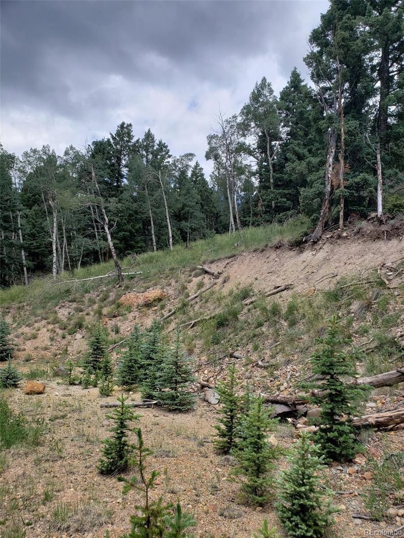 10th St, Jasper, CO 81144