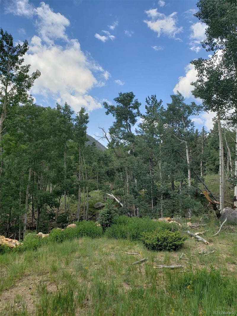 10th St, Jasper, CO 81144