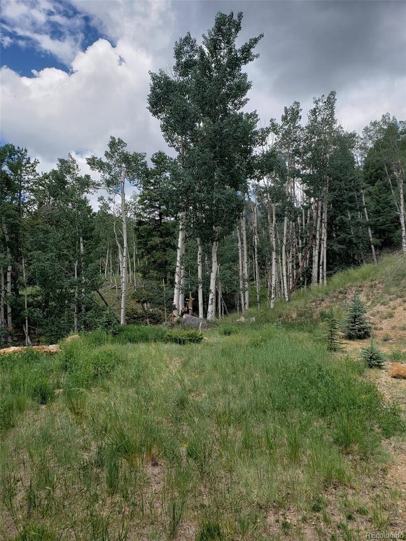 10th St Lot 1, 2, 3, Jasper, CO 81144