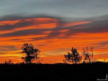 1311 Shoshoni Dr, Red Feather Lakes, CO 80545