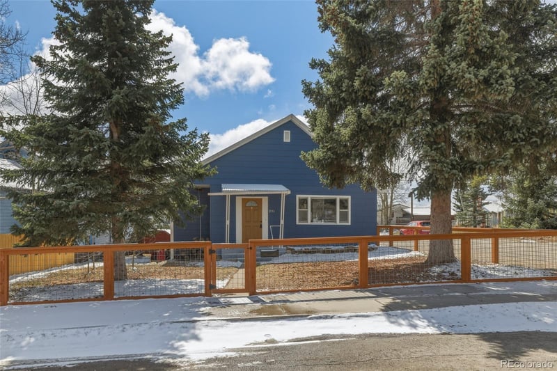 231 8th St, Leadville, CO 80461
